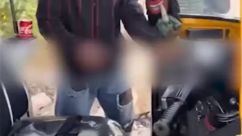 القبض على سارق هاتف سيدة أجنبية بأسوان بعد مغافلتها أثناء ركوب 