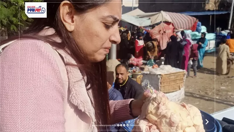 «بيطري المنيا» تضبط طن لحوم ومنتجات غير مطابقة وتحرر 26 محضرًا 