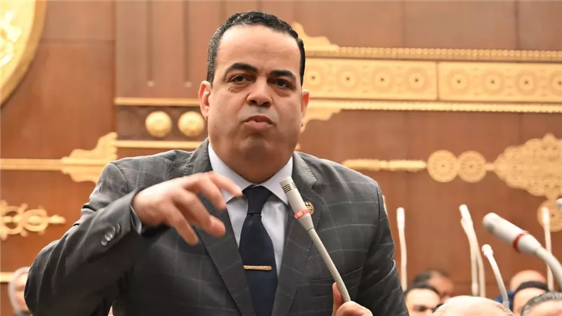 عصام هلال يوافق على تعديل قانون الكهرباء ويعترض على تغليظ العقوبة