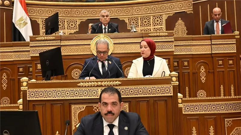 مجلس الشيوخ يوافق على تعديلات قانون الكهرباء من حيث المبدأ 
