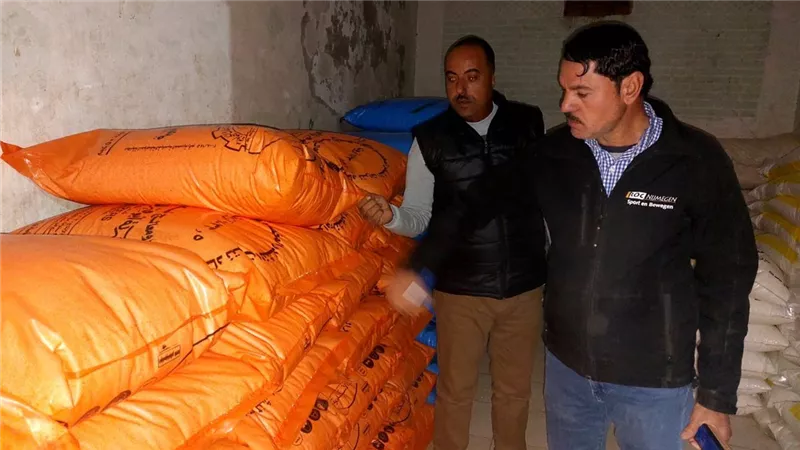 ضبط 10 أطنان نخالة وملح والتحفظ على أسمدة مدعمة في حملات تموينية ببنى سويف