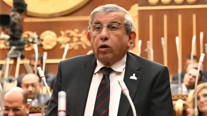 برلماني: نقف صفًا واحدًا خلف القيادة السياسية لمواجهة تحديات المنطقة