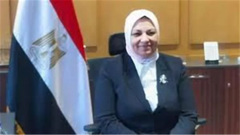نائب وزير الكهرباء والطاقة المتجددة: قدمت عرضاً تفصيلياً أمام الجلسة العامة 