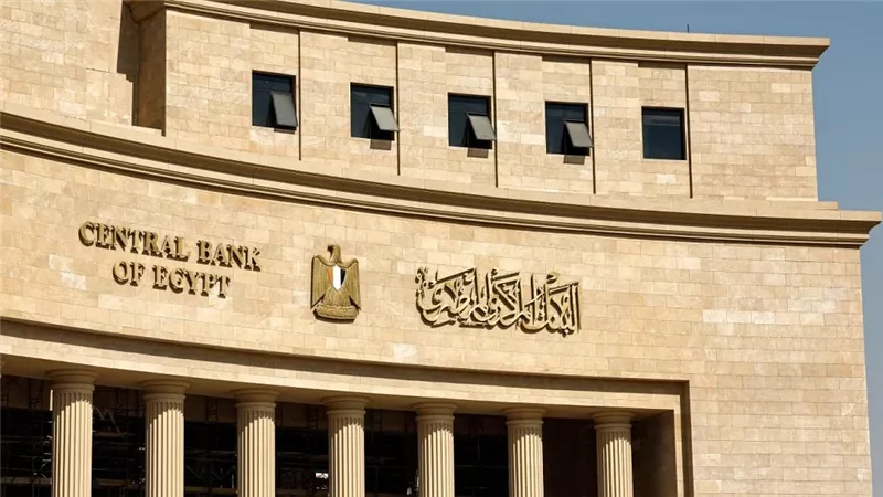 البنك المركزي: أكثر من 4 ملايين مستفيد من التمويل متناهي الصغر 