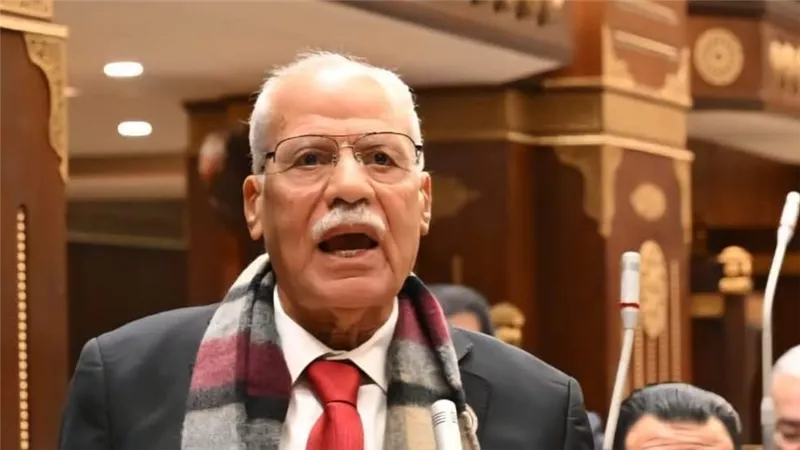 محمد أبو العلا: تحركات الرئيس السيسي الخارجية امتداد للدور القومي لمصر