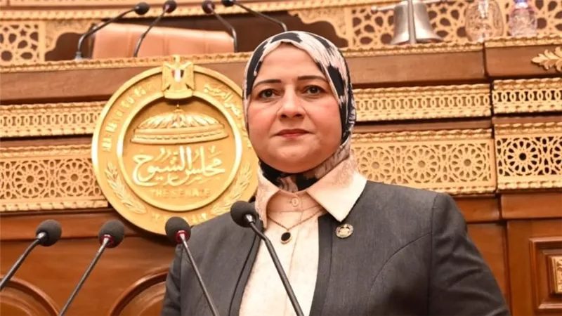 أمين سر طاقة الشيوخ: لا تهاون مع سرقة التيار الكهربائي 