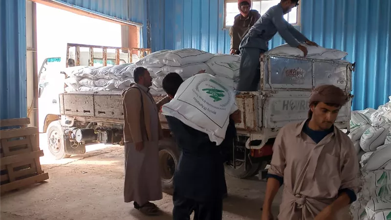 وزارة الزراعة: توزيع 100 طن تقاوي شعير و33 ألف شتلة زيتون 