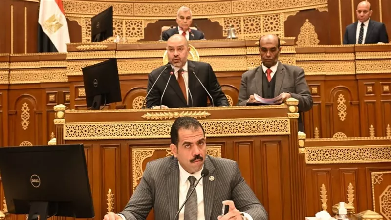 نهائياً.. مجلس الشيوخ يوافق على تعديلات قانون نقابة المهن الرياضية