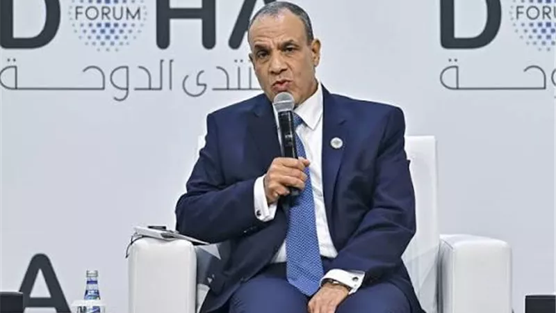 وزير الخارجية : نولي أهمية للمنطقة الصناعية الروسية في مصر 