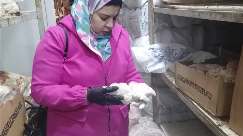 ضبط 366.5 كيلو جرام دهن ماشية فاسد بالسويس خلال حملة تفتيشية