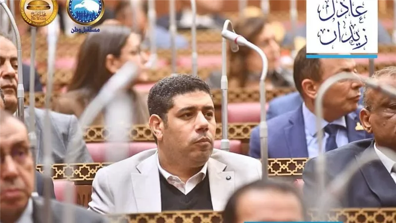النائب عادل زيدان: تعديل قانون الكهرباء خطوة حاسمة لحماية حق الدولة