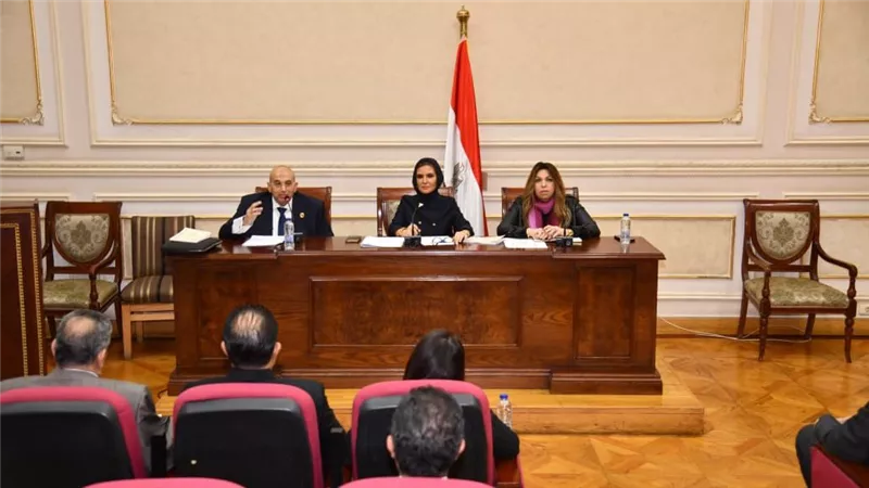 اللجنة الاقتصادية بمجلس الشيوخ تناقش تفعيل 