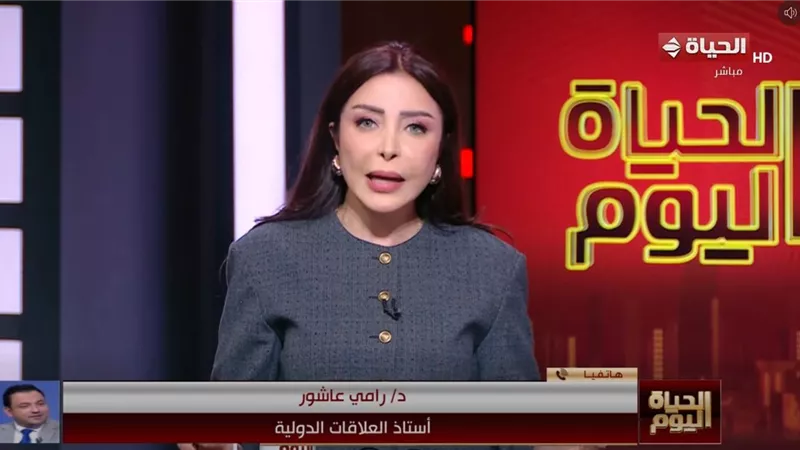 رامي عاشور: السياسة الخارجية المصرية قائمة على المثالية ودعم استقرار الدول