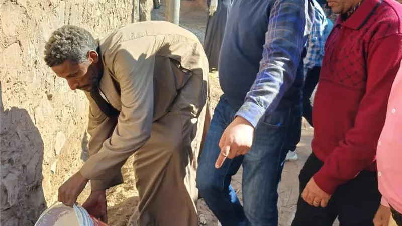 الزراعة تطلق حملات مكثفة لمكافحة النمل الأبيض بالمحافظات والمبيدات