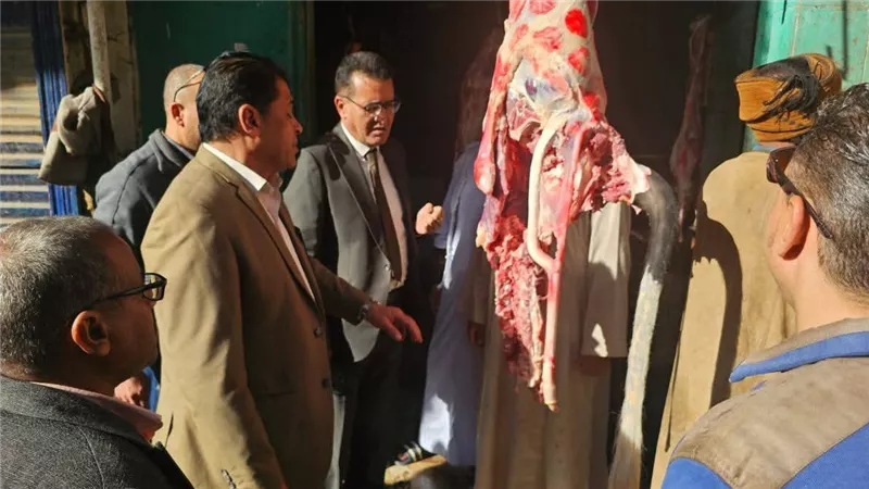 تعاون بين الطب البيطري والتموين يفضح أختاما وهمية على اللحوم بالأقصر