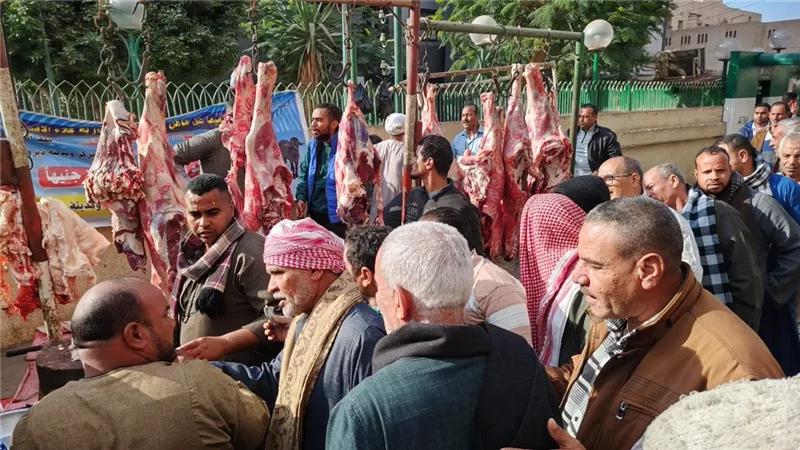 محافظ أسيوط: توفير اللحوم الطازجة بأسعار مناسبة لدعم المواطنين الأكثر احتياجا