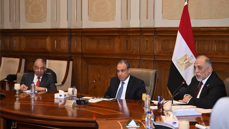 وزير الخارجية: مصر تتبنى نهجًا شاملًا في ملف حقوق الإنسان