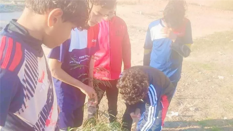 مركز شباب شطا ينفذ مبادرة تشجير لتعزيز المساحات الخضراء وخدمة المجتمع المحلي