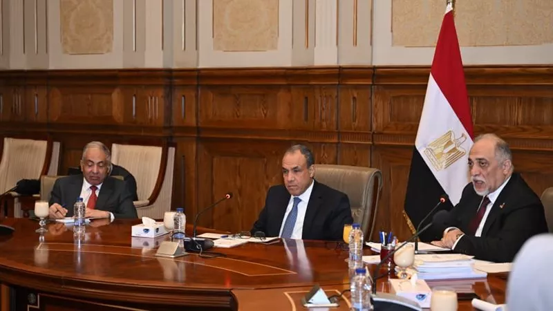 جهود مصر الدولية وملف حقوق الإنسان أمام مجلس الشيوخ.. التفاصيل الكاملة