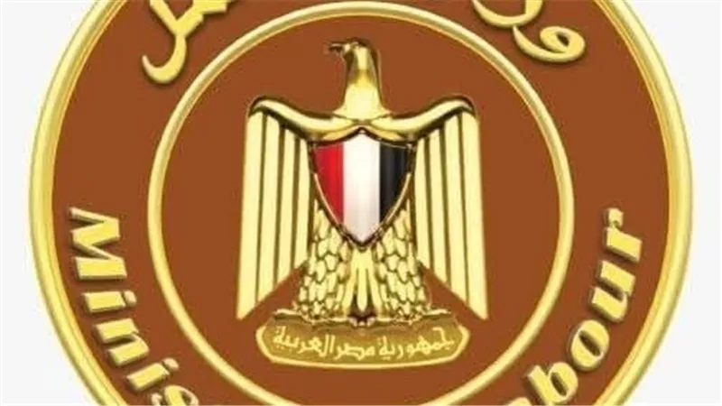 دعم مستمر للعمالة غير المنتظمة.. أبرز أنشطة وزارة العمل خلال أسبوع|فيديوجراف