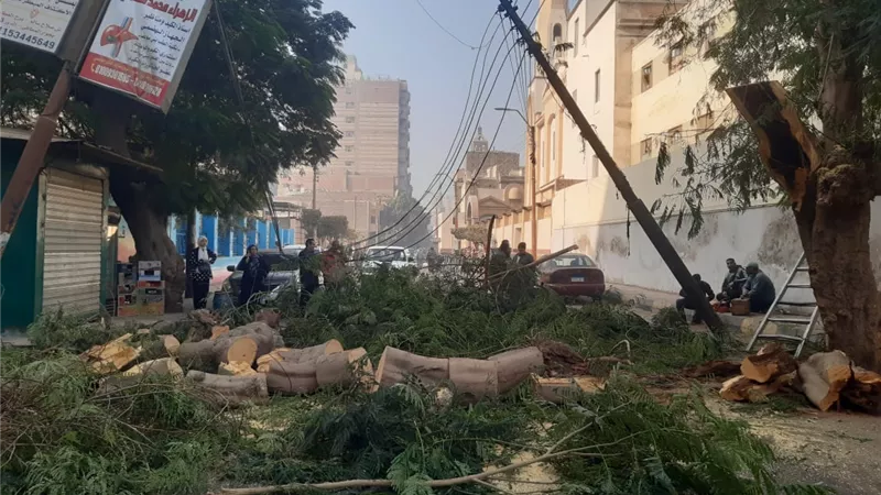 بنى سويف: إصلاح كسر خط مياه بشارع 17 وإعادة الحركة المرورية بعد سقوط شجرة