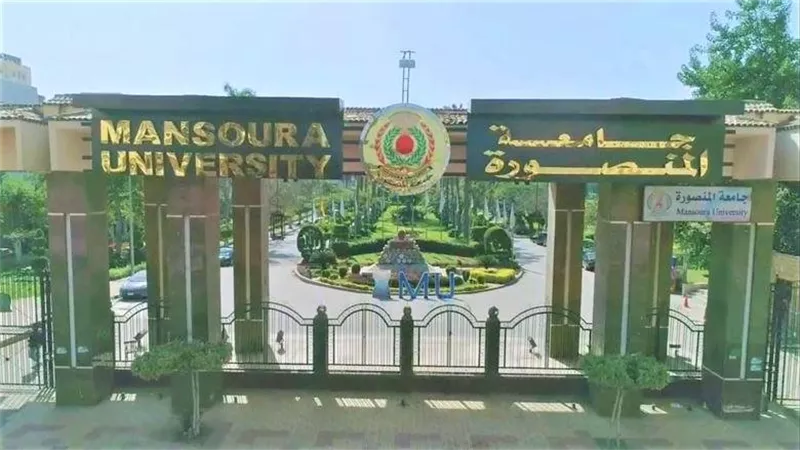 تفاصيل وظيفة رئيس الإدارة المركزية للموارد البشرية بجامعة المنصورة 2025