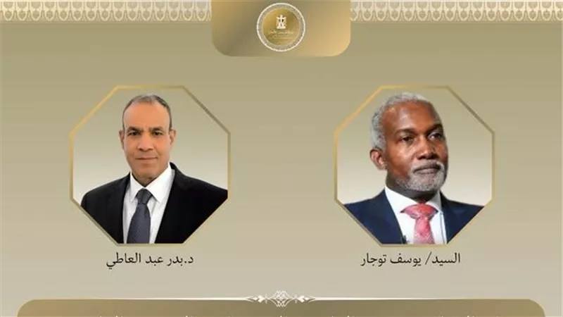 وزير الخارجية يبحث مع نظيره النيجيري أوضاع قطاع غزة والمساعدات الإنسانية