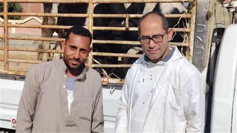 متابعة سوق السبت وتحصين الحيوانات ضد الحمى القلاعية بالسويس