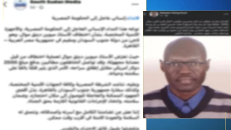 قفز من أعلى كوبري أكتوبر.. الأمن يكشف حقيقة اختطاف أجنبي وطلب فدية 