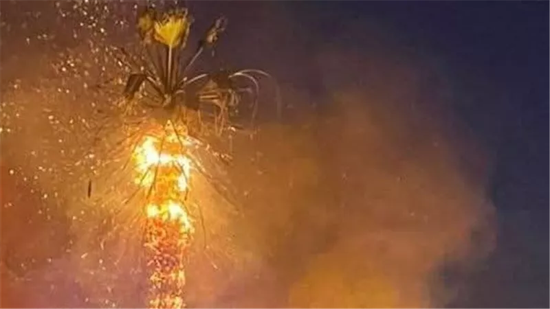 حريق محدود في مخلفات بأرض خالية ببورسعيد وإخماده دون خسائر