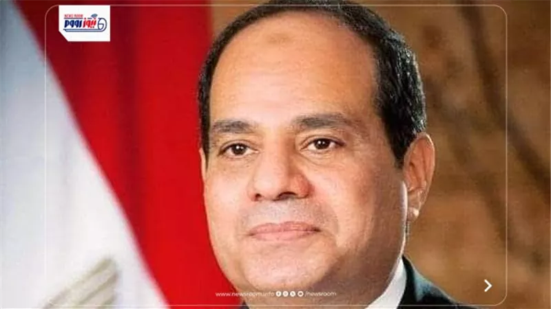 نواب بالشيوخ يشيدون بالدبلوماسية المصرية: 2025 عام السيادة الاستراتيجية 