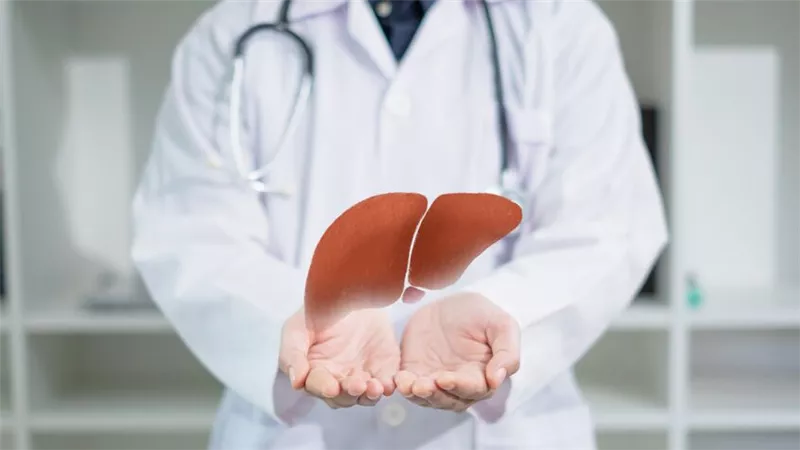 5 مشروبات طبيعية تساعد الكبد على التخلص من الدهون وتحسين الهضم