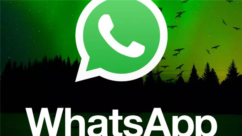 واتساب يتيح ميزة عرض صفحة معلومات الاتصال لأعضاء المجموعات