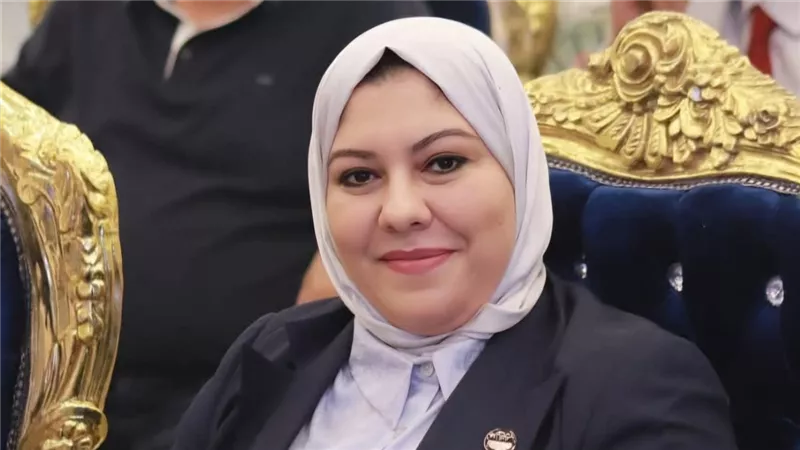 برلمانية: إلقاء القبض على عناصر من الإخوان تركيا يعكس استمرار نهجها ضد مصر