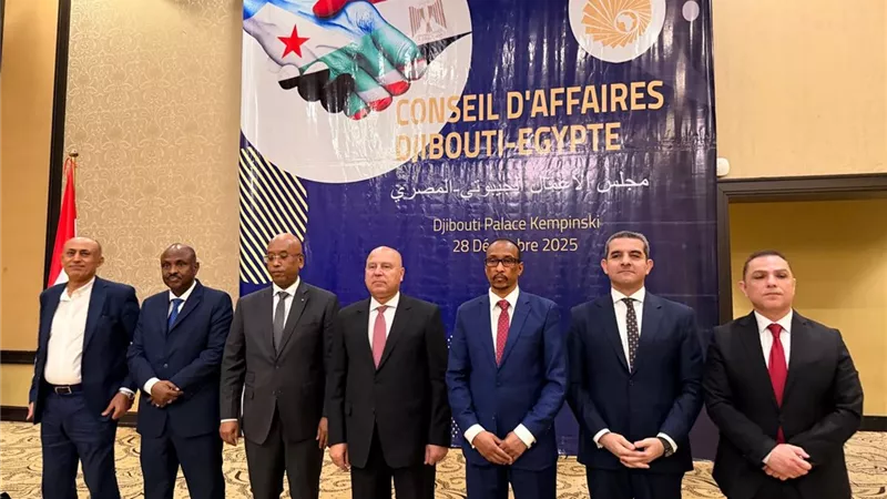 كامل الوزير يستعرض تنميه الصناعه والنقل بين مصر وجبوتي 