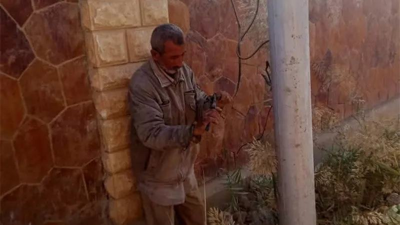 استعدادا لعيد الميلاد.. حي الأربعين بالسويس يرفع كفاءة الإنارة وينظف الشوارع
