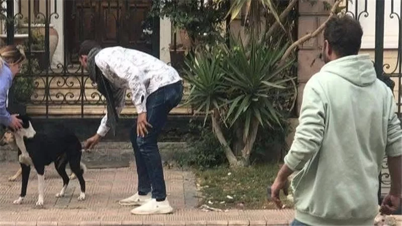استمرار حملات تطعيم الكلاب ضد السعار بمدينة العبور بمحافظة القليوبية 