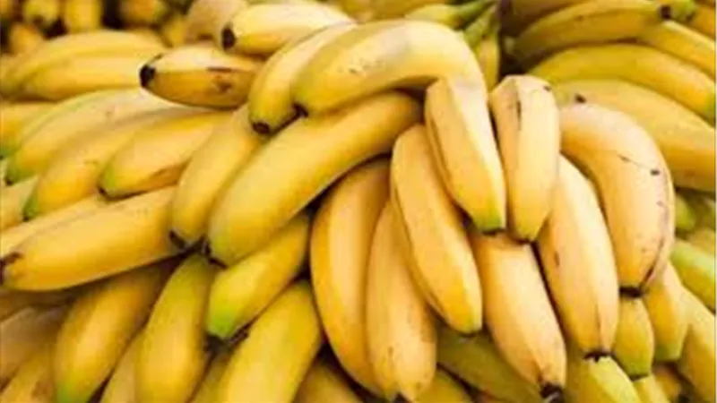 الموز البلدي بكام؟.. أسعار الموز في أول يوم لسنة 2026