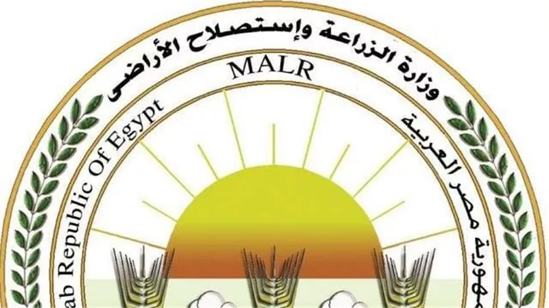 تكثيف حملات التفتيش وضخ المنتجات في منافذها بأسعار مخفضة