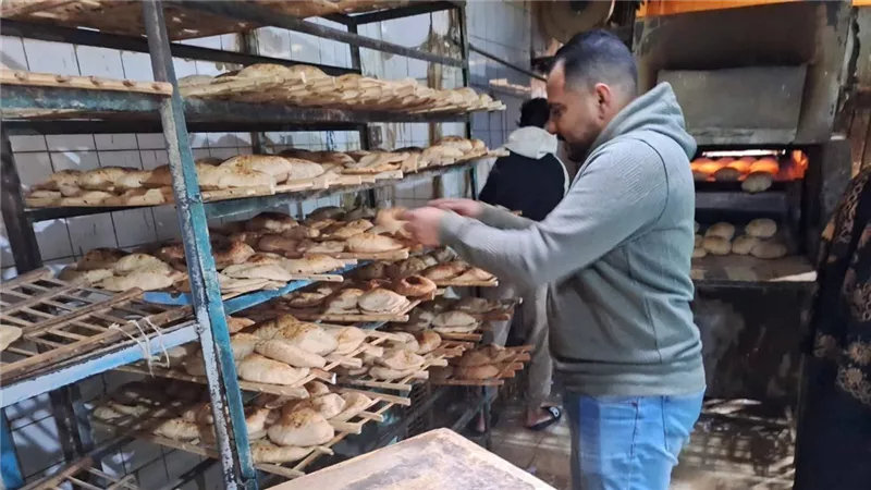 38 محضرا تموينيا بأول أيام 2026 خلال حملات مكثفة لتموين القليوبية على المخابز