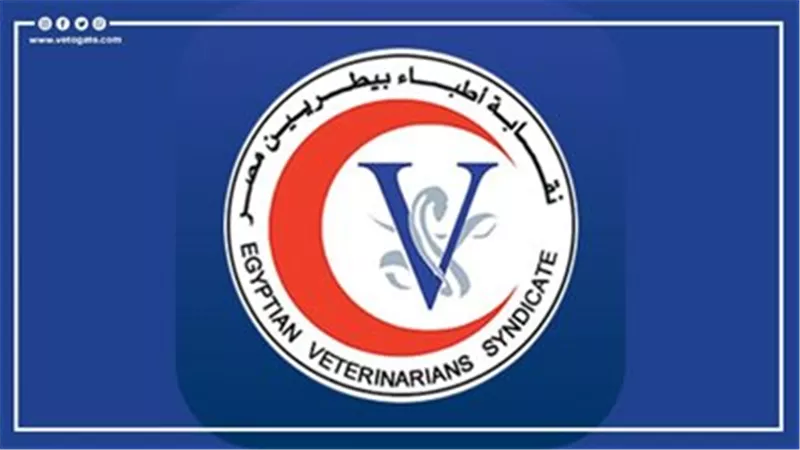 من يحمي غذاء المصريين؟ صراع الصلاحيات يُشعل ملف الهيئة البيطرية