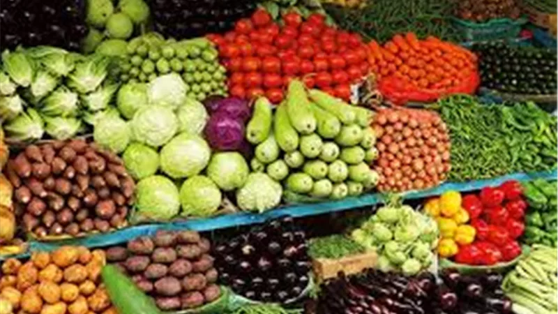 7 خضروات تستقر و5 تسجل تفاوتًا بأسواق المنيا اليوم السبت وسط إقبال المواطنين