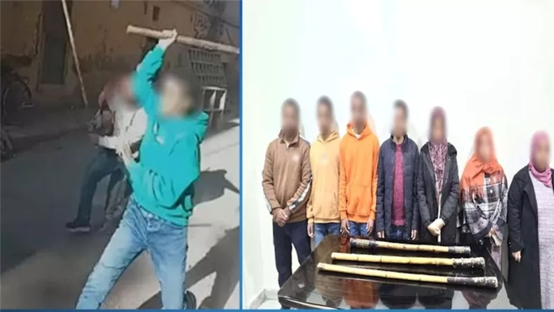 خلافات ميراث.. الداخلية تكشف تفاصيل فيديو مشاجرة الأقصر