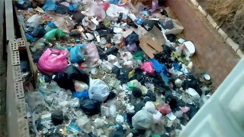 الشرقية غارقة في القمامة.. طرق ومصارف تتحول لمقالب مفتوحة تهدد صحة الأهالي