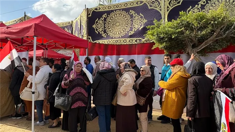 محلل سياسي: الدولة تعطي الفرصة لكل من يريد دخول السباق الانتخابي 