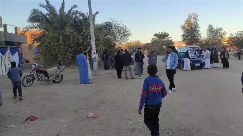 التنسيقية: زيادة الإقبال بلجان الوادي الجديد في إعادة انتخابات مجلس النواب