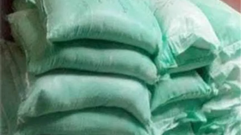 «تموين الغربية»: ضبط مخبز بزفتى يتلاعب بالدقيق المدعم ويحقق أرباحًا غير مشروعة