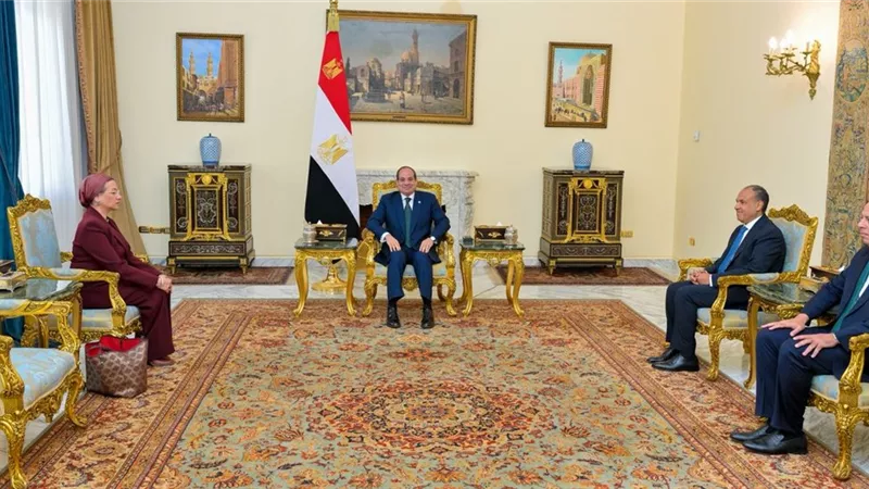 السيسي يستقبل ياسمين فؤاد لدعم الجهود الدولية لتحقيق التنمية المستدامة