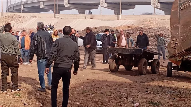 مصادرة 25 عربة كارو و4 حمير و3 خيول خلال حملة مكبرة بشبرا الخيمة بالقليوبية 