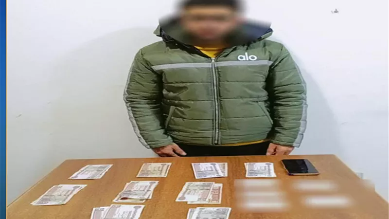 محاولة لشراء الأصوات بالبحيرة.. ضبط متهم وبحوزته بطاقات رقم قومي ومبالغ مالية